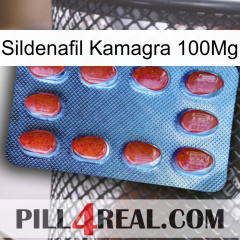 Sildenafil Kamagra 100Mg 06